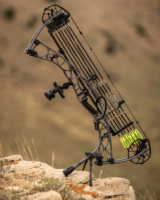 Hoyt Carbon Go-Stix Bow Stand 2.0