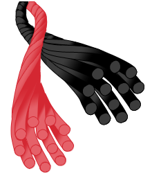 Genesis Bow String